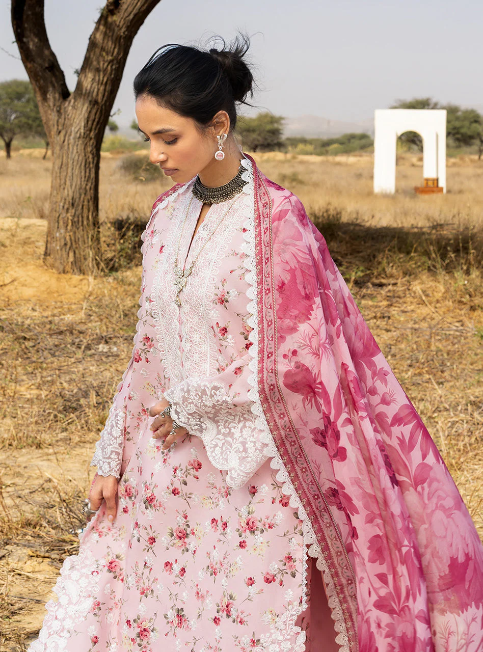 Spring Summer Collections - Image 5